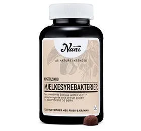 Nani Mælkesyrebakterier