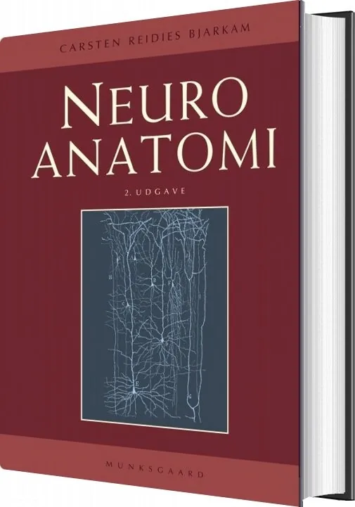 Neuroanatomi Carsten Reidies Bjarkam