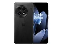 OnePlus 13