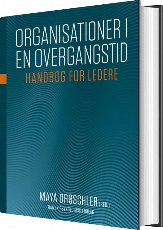 Organisationer i en overgangstid - Maya Drøschler