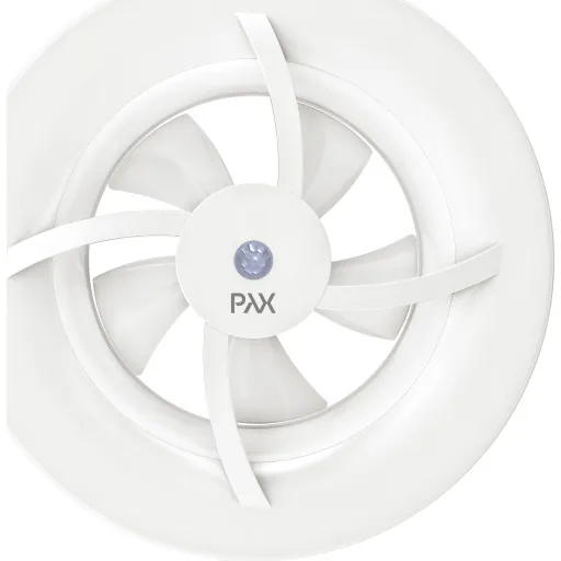 Pax Brisa