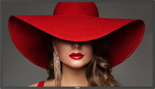 Philips D-line 43BDL4650D