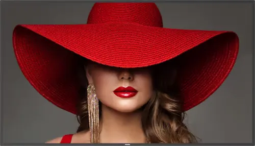 Philips D-line 75BDL4650D