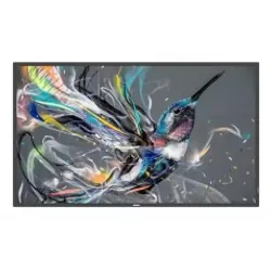 Philips Q-line 55BDL3511Q