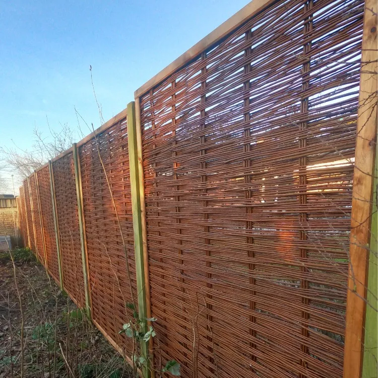 Pileflethegn med ramme Ebeltoft