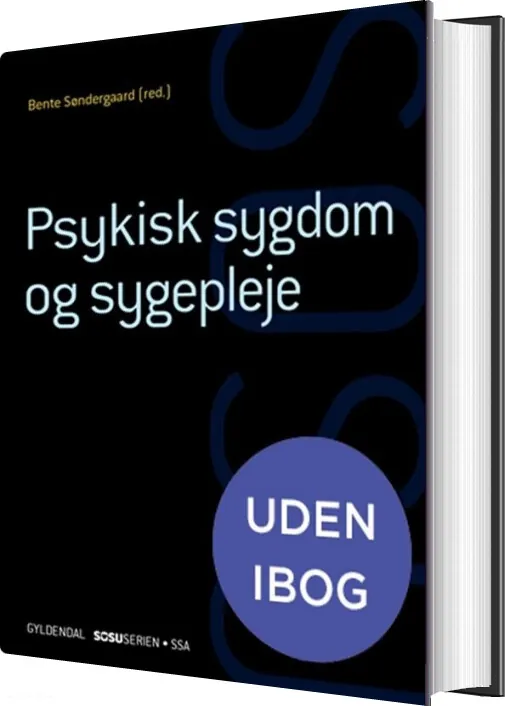 Psykisk Sygdom Og Sygepleje - Lone Andersen