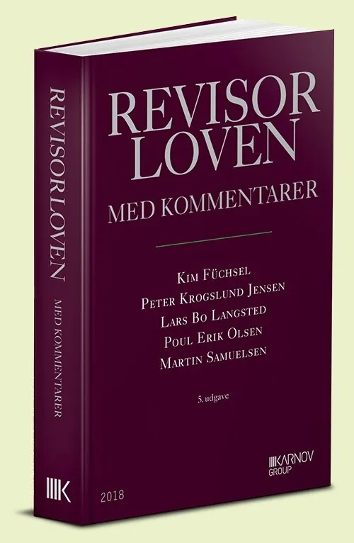 Revisorloven Lars Bo Langsted