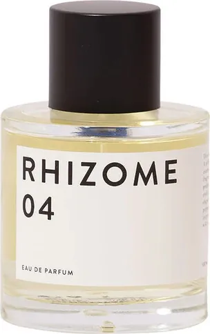 Rhizome 04