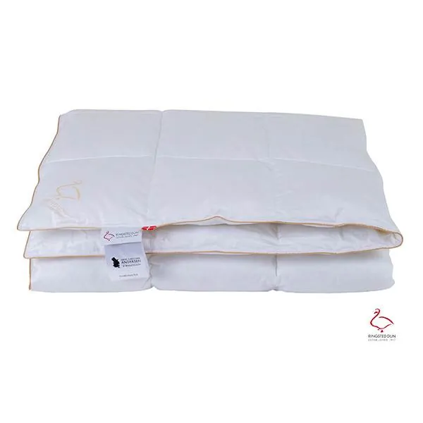 Ringsted Dun Svinedrengen