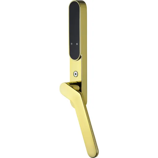 Secuyou Smart Lock Access