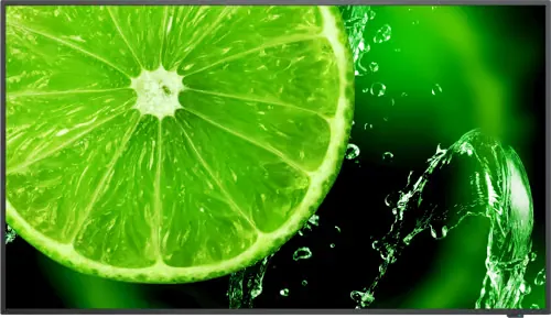 Sharp NEC MultiSync E438