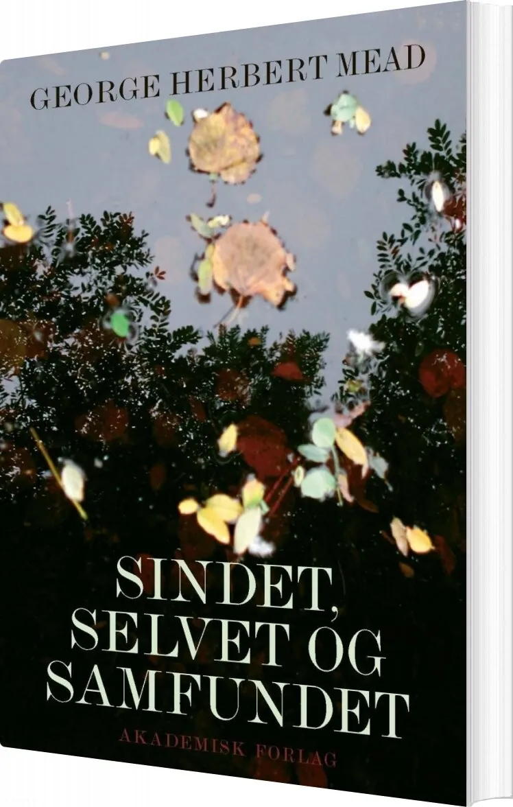 Sindet, Selvet Og Samfundet - George Herbert Mead