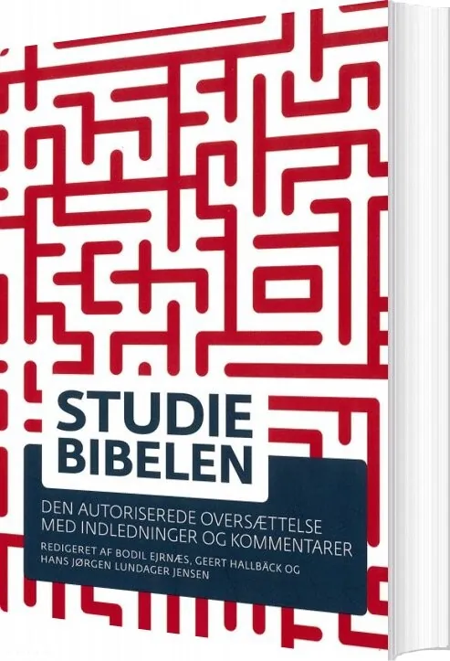 Studiebibelen Bodil Ejrnæs
