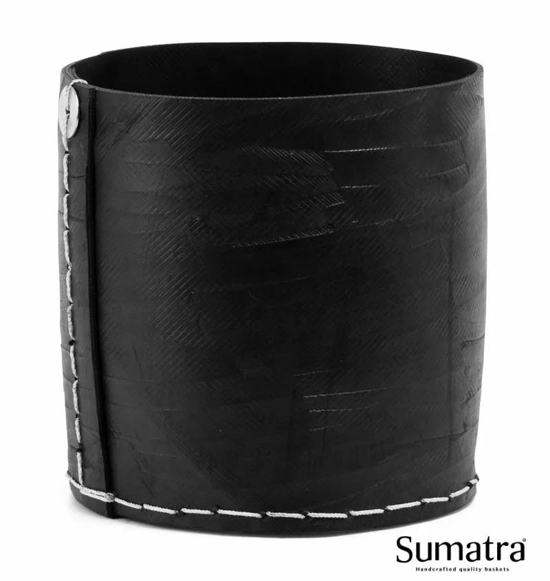 Sumatra Cylinderkurv Small