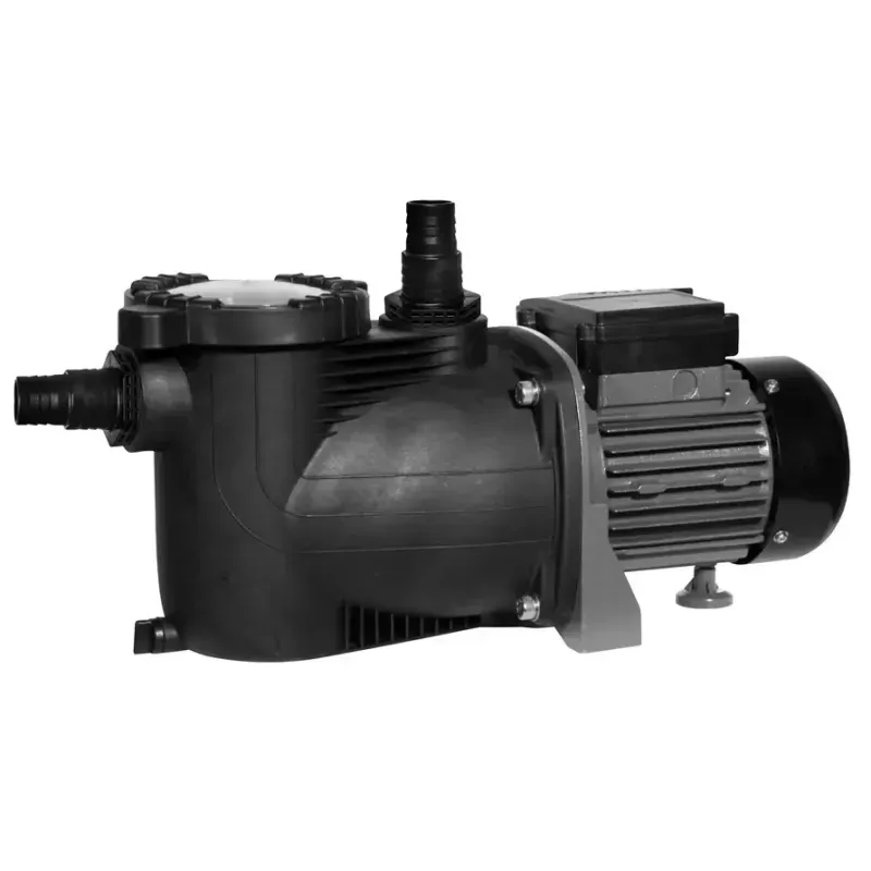 Swim & Fun Pump 400 W