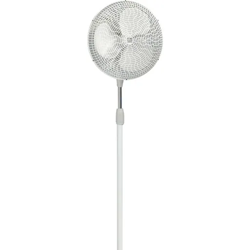 Thermex Gordon 40