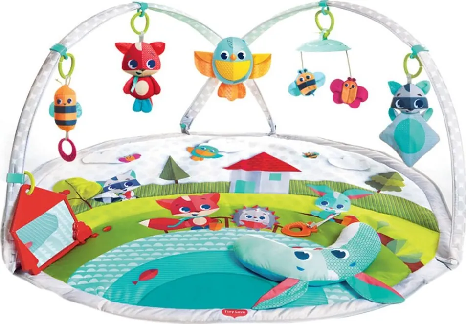 Tiny Love Dynamic Gymini Meadow Days