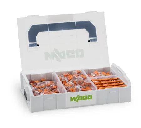 Wago L-Boxx Mini 221